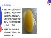 7.1.4鸟的生殖和发育课件2023--2024学年人教版生物八年级下册