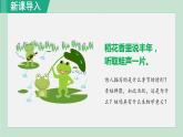 7.1.3两栖动物的生殖和发育课件2023--2024学年人教版生物八年级下册+(1)
