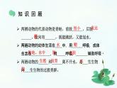 7.1.3两栖动物的生殖和发育课件2023--2024学年人教版生物八年级下册+(1)