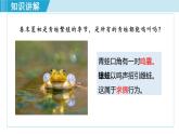 7.1.3两栖动物的生殖和发育课件2023--2024学年人教版生物八年级下册+(1)