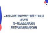 7.1.3两栖动物的生殖和发育课件2023--2024学年人教版生物八年级下册