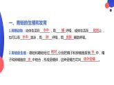 7.1.3两栖动物的生殖和发育课件2023--2024学年人教版生物八年级下册