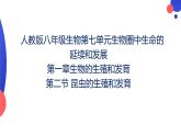 7.1.2昆虫的生殖和发育课件2023--2024学年人教版生物八年级下册