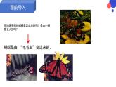 7.1.2昆虫的生殖和发育课件2023--2024学年人教版生物八年级下册