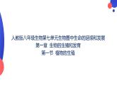 7.1.1植物的生殖课件2023--2024学年人教版生物八年级下册