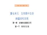 7.1.1++植物的生殖++课件-2023-2024学年人教版生物八年级下册