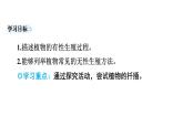 7.1.1++植物的生殖++课件-2023-2024学年人教版生物八年级下册