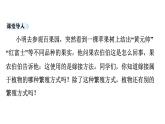 7.1.1++植物的生殖++课件-2023-2024学年人教版生物八年级下册