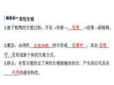 7.1.1++植物的生殖++课件-2023-2024学年人教版生物八年级下册