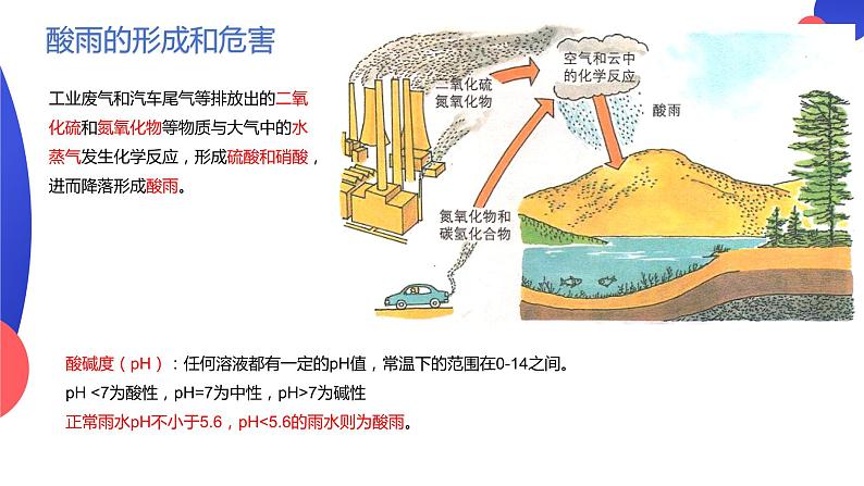 4.7.2探究环境污染对生物的影响课件2023-2024学年人教版生物七年级下册05