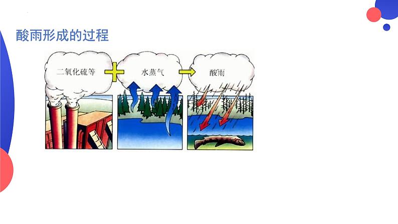 4.7.2探究环境污染对生物的影响课件2023-2024学年人教版生物七年级下册06