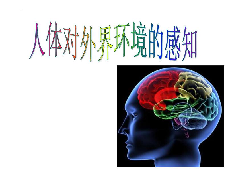 4.6.1+人体对外界环境的感知（第二课时）课件2023--2024学年人教版生物七年级下册第1页