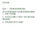 4.6.1+人体对外界环境的感知（第二课时）课件2023--2024学年人教版生物七年级下册