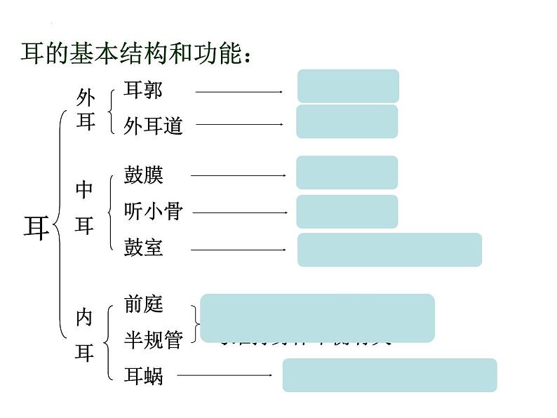 4.6.1+人体对外界环境的感知（第二课时）课件2023--2024学年人教版生物七年级下册第7页