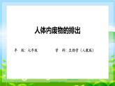 4.5.人体内废物的排出课件2023--2024学年人教版生物七年级下册