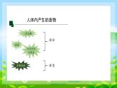 4.5.人体内废物的排出课件2023--2024学年人教版生物七年级下册