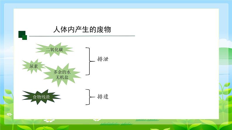 4.5.人体内废物的排出课件2023--2024学年人教版生物七年级下册第3页