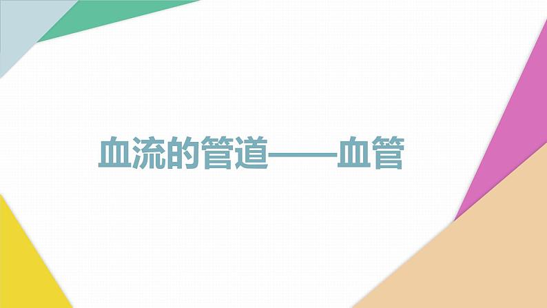 4.4.2血流的管道——血管课件2023-2024学年人教版生物七年级下册01