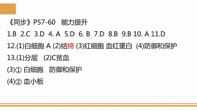 4.4.2血流的管道——血管课件2023-2024学年人教版生物七年级下册02