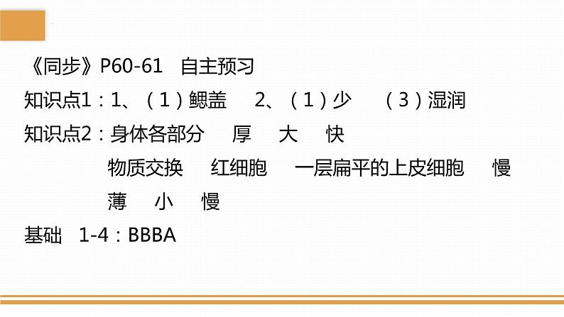 4.4.2血流的管道——血管课件2023-2024学年人教版生物七年级下册03