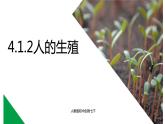 4.1.2人的生殖+课件2023-2024学年人教版生物七年级下册 (1)