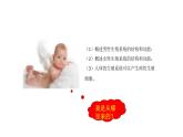 4.1.2人的生殖+课件2023-2024学年人教版生物七年级下册 (1)