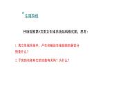 4.1.2人的生殖+课件2023-2024学年人教版生物七年级下册 (1)