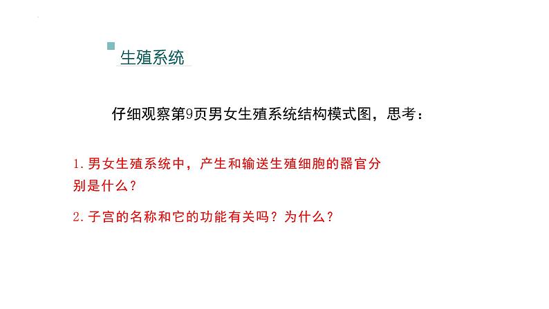 4.1.2人的生殖+课件2023-2024学年人教版生物七年级下册 (1)03