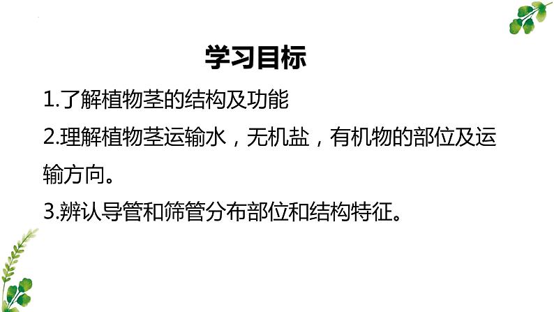 3.5.5运输作用课件2023-2024学年北师大版生物七年级上册第3页