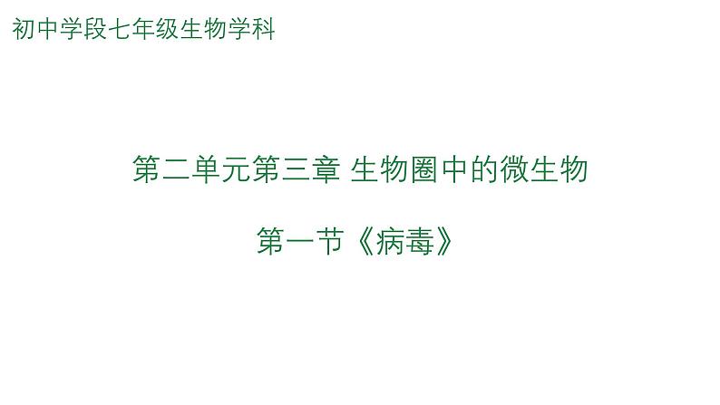 2.3.1病毒课件2023--2024学年济南版生物七年级上册01