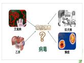 2.3.1病毒课件2023--2024学年济南版生物七年级上册