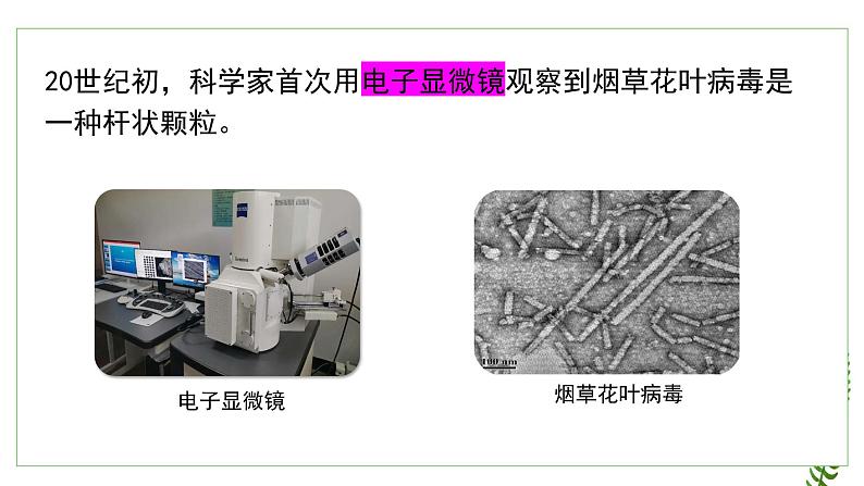 2.3.1病毒课件2023--2024学年济南版生物七年级上册05