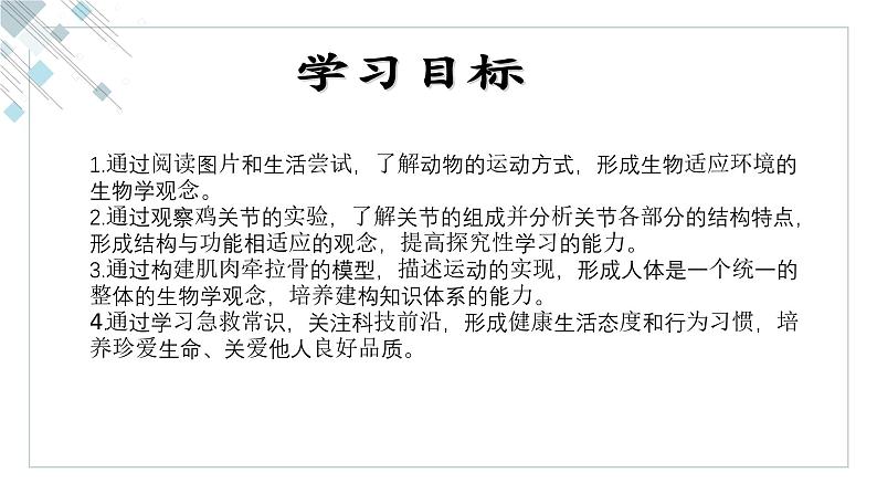 2.2.3动物的运动课件2023--2024学年济南版生物七年级上册02