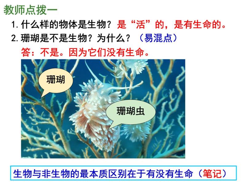 1.1.1形形色色的生物课件2023--2024学年北师大版生物七年级上册+06