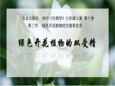 10.3探究绿色开花植物的双受精课件2023--2024学年京改版生物八年级上册