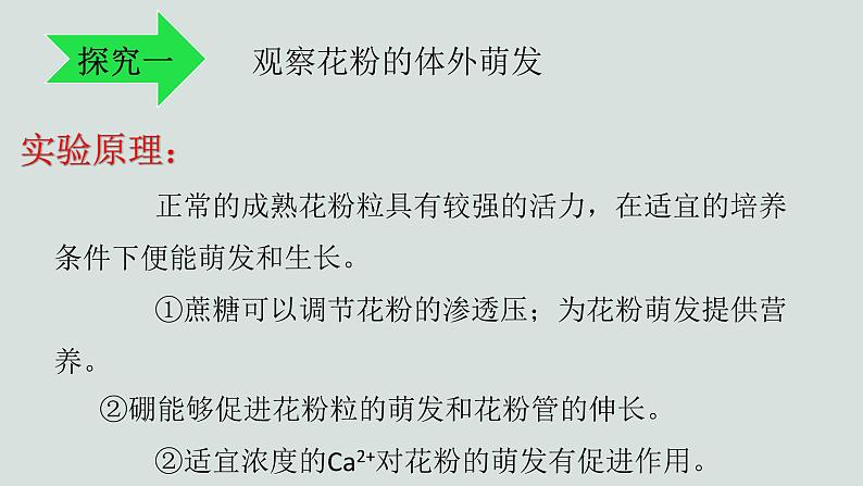 10.3探究绿色开花植物的双受精课件2023--2024学年京改版生物八年级上册05