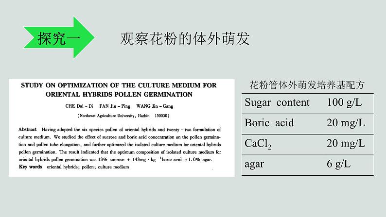 10.3探究绿色开花植物的双受精课件2023--2024学年京改版生物八年级上册06