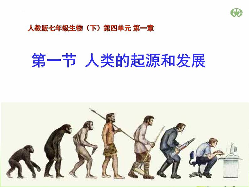 4.1.1人类的起源和发展课件2023--2024学年人教版生物七年级下册 (4)第3页