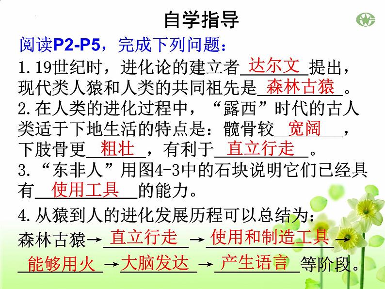 4.1.1人类的起源和发展课件2023--2024学年人教版生物七年级下册 (4)第5页