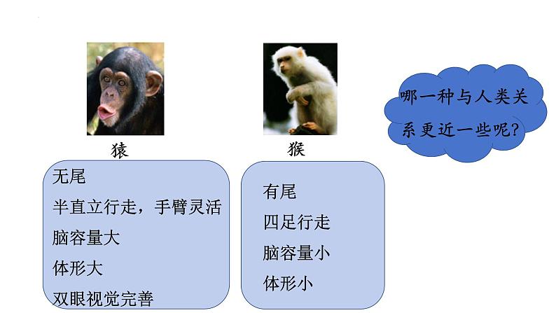 4.1.1人类的起源和发展课件2023--2024学年人教版生物七年级下册 (3)第4页