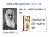 4.1.1人类的起源和发展课件2023--2024学年人教版生物七年级下册 (3)