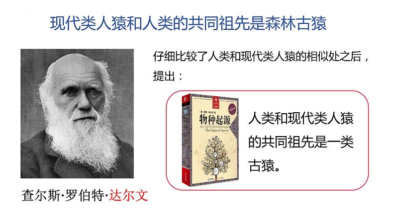 4.1.1人类的起源和发展课件2023--2024学年人教版生物七年级下册 (3)第5页