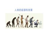 4.1.1人类的起源和发展课件2023--2024学年人教版生物七年级下册 (2)