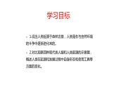 4.1.1人类的起源和发展课件2023--2024学年人教版生物七年级下册 (1)