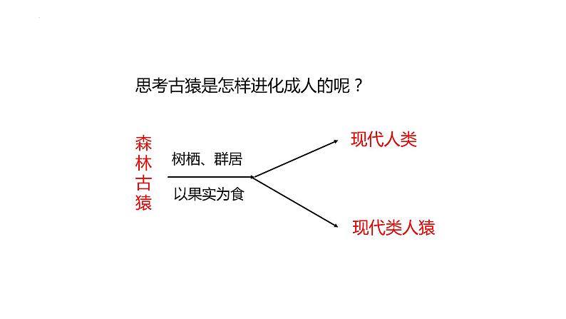 4.1.1人类的起源和发展课件2023--2024学年人教版生物七年级下册 (1)第7页