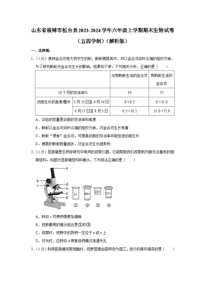 山东省淄博市桓台县2023-2024学年六年级上学期期末生物试卷（解析版）01
