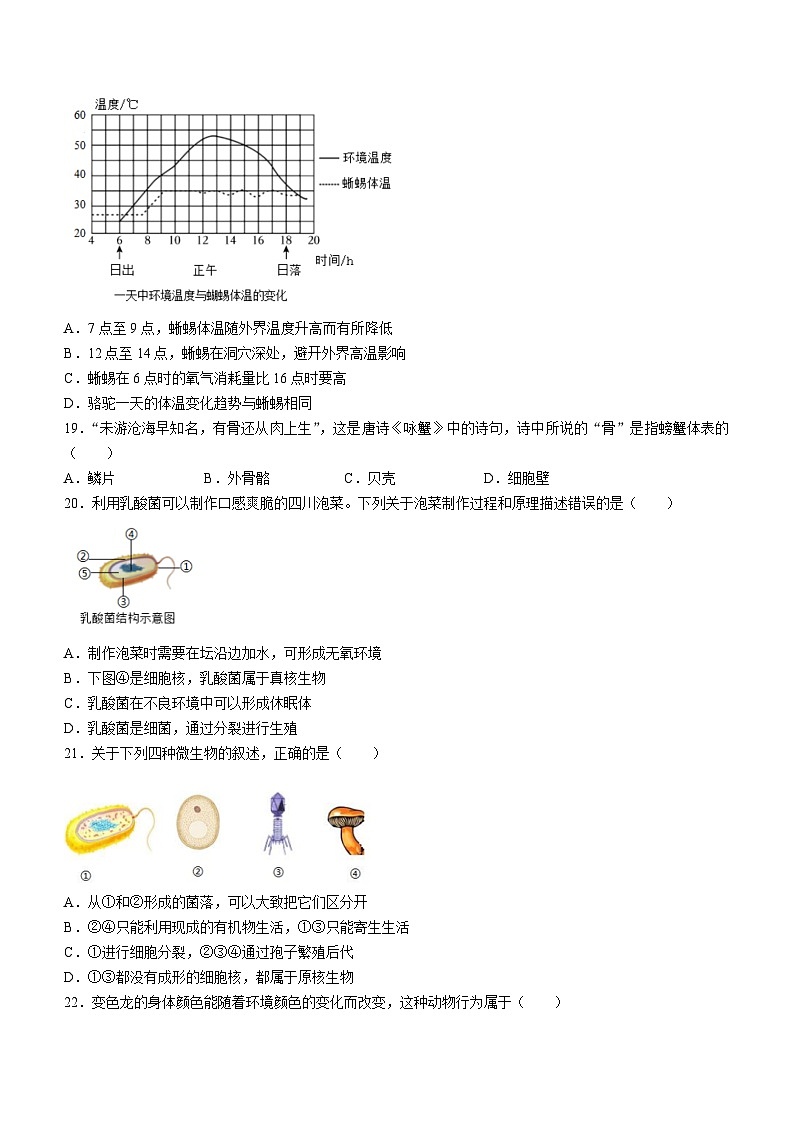 陕西省西安市碑林区多校2023-2024学年八年级下学期开学生物试题第3页