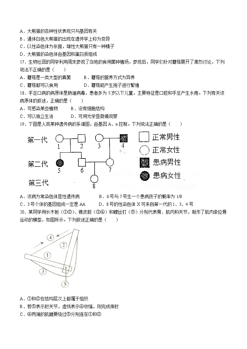 河北省唐山市第九中学2023-2024学年八年级上学期开学生物试题第3页