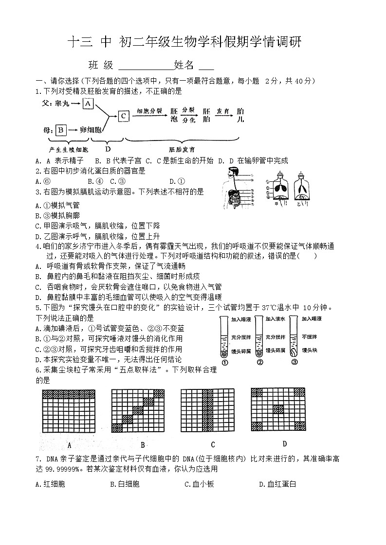 山东省济宁市第十三中学2023-2024学年七年级下学期开学学情调研生物试题第1页