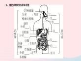 2024七年级生物下册第四单元生物圈中的人第二章人体的营养第二节消化和吸收第1课时消化系统和探究馒头在口腔中的变化作业课件新版新人教版